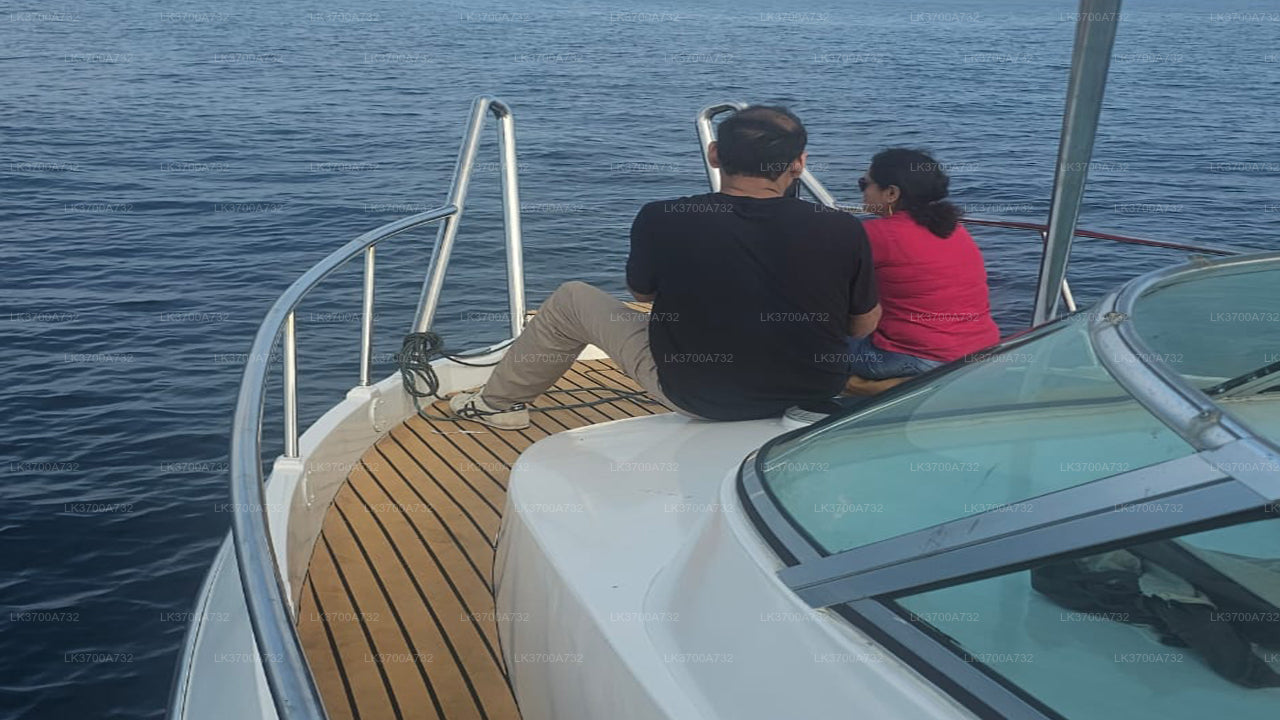 Privaatne vaalavaatlusretk luksusliku kiirpaadiga Mirissast