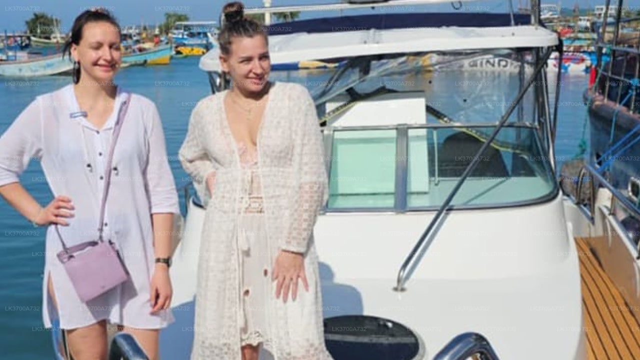 Privaatne vaalavaatlusretk luksusliku kiirpaadiga Mirissast