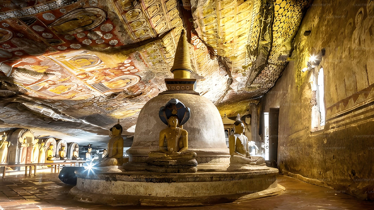 Privaatne transport Colombost Sigiriyasse koos vaatamisväärsustega