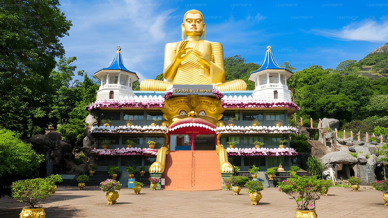 Privaatne transport Colombost Sigiriyasse koos vaatamisväärsustega