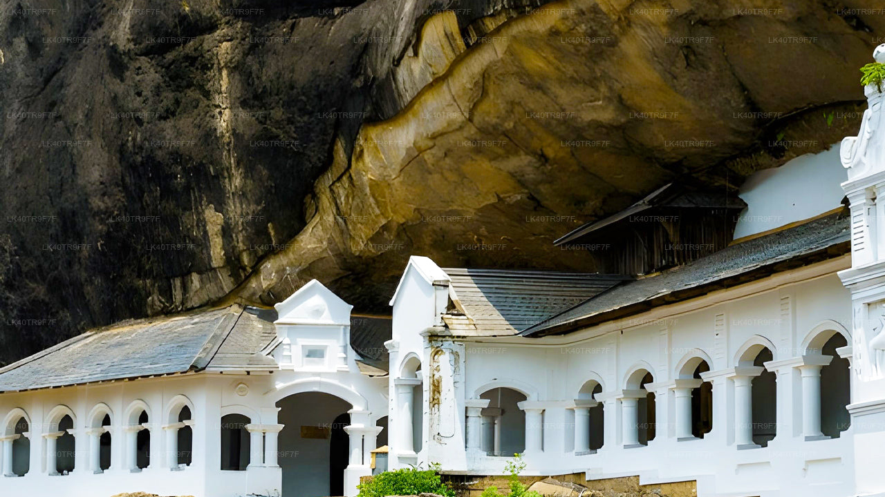 Privaatne transport Colombost Sigiriyasse koos vaatamisväärsustega