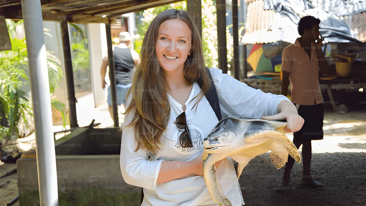 Privaatne transport Negombost Hiriketiyasse koos vaatamisväärsustega