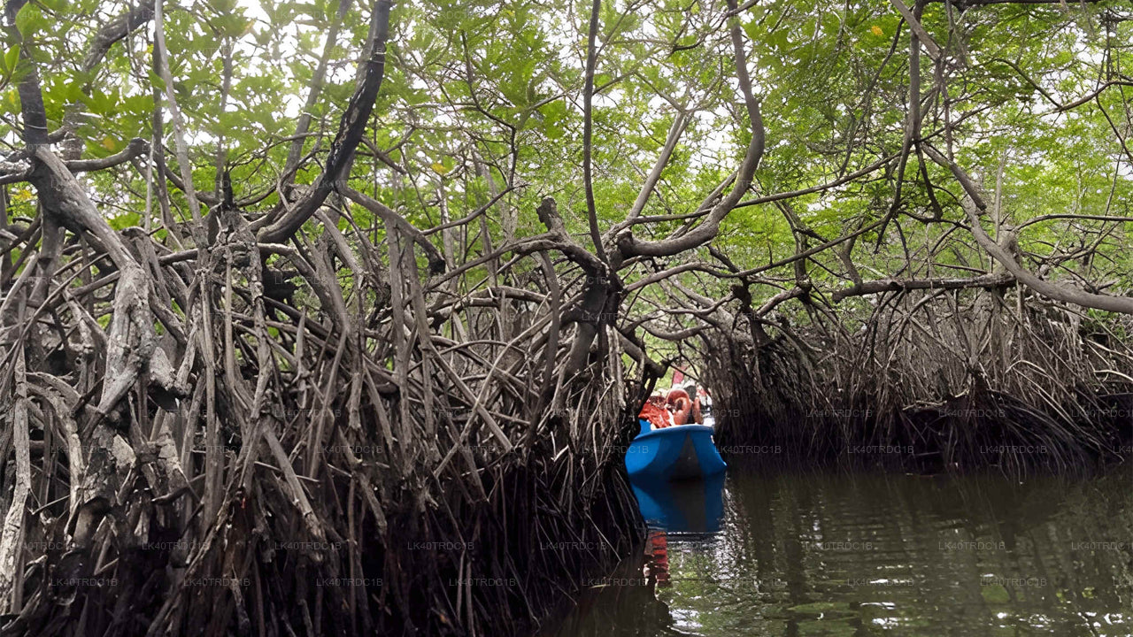 Privaatne transport Negombost Hiriketiyasse koos vaatamisväärsustega