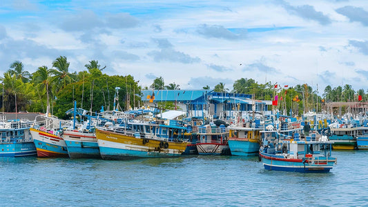 Privaatne transport Negombost Hiriketiyasse koos vaatamisväärsustega