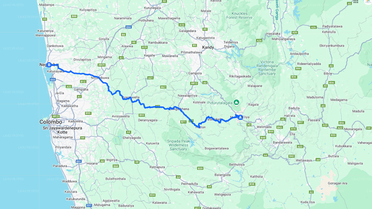 Nuwara Eliya City to Negombo City Private Transfer