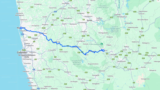 Nuwara Eliya City to Negombo City Private Transfer