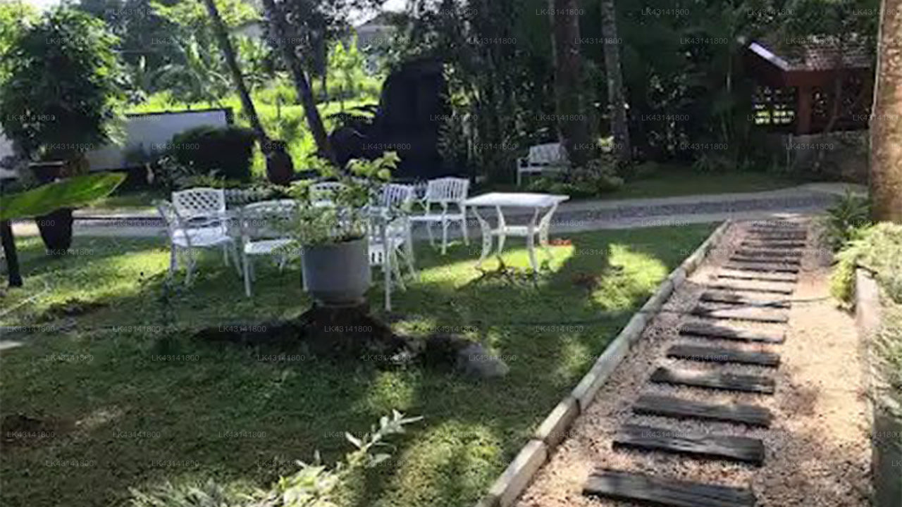 Silver Ray, Katunayake