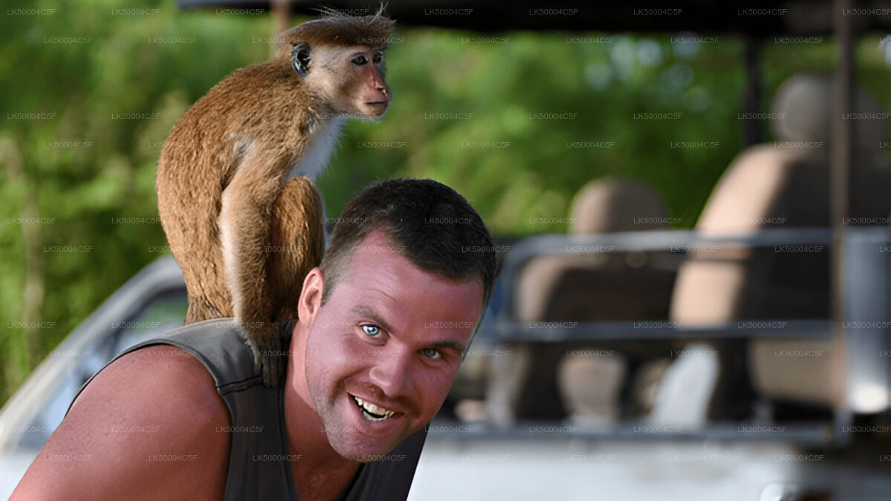 Privaatreis Ellast Weligamasse Udawalawe Safariga