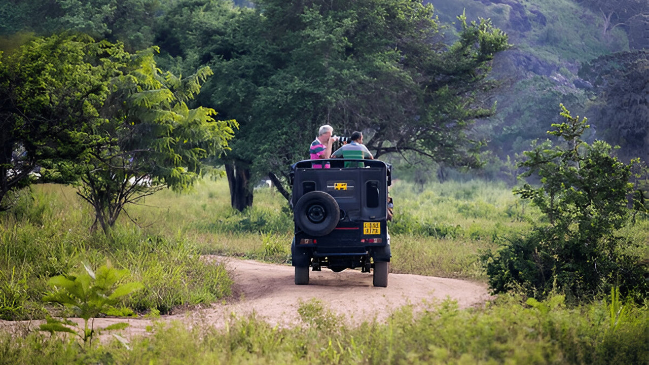 Yala rahvuspark (5. plokk) Eetiline safari