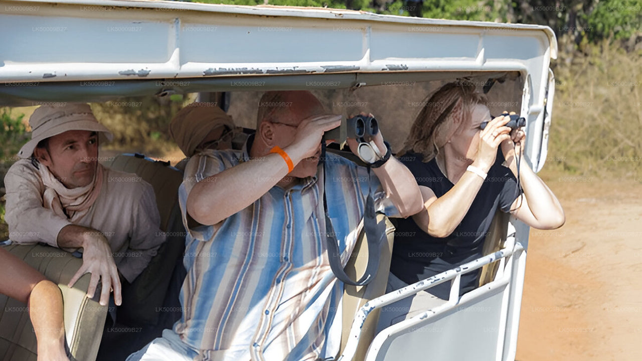 Privaatreis Weligamast Ellasse Yala Safariga