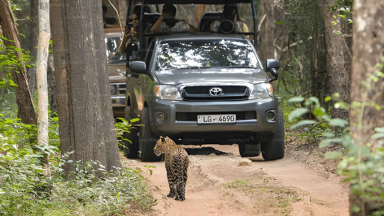 Wilpattu rahvuspargi privaatne safari
