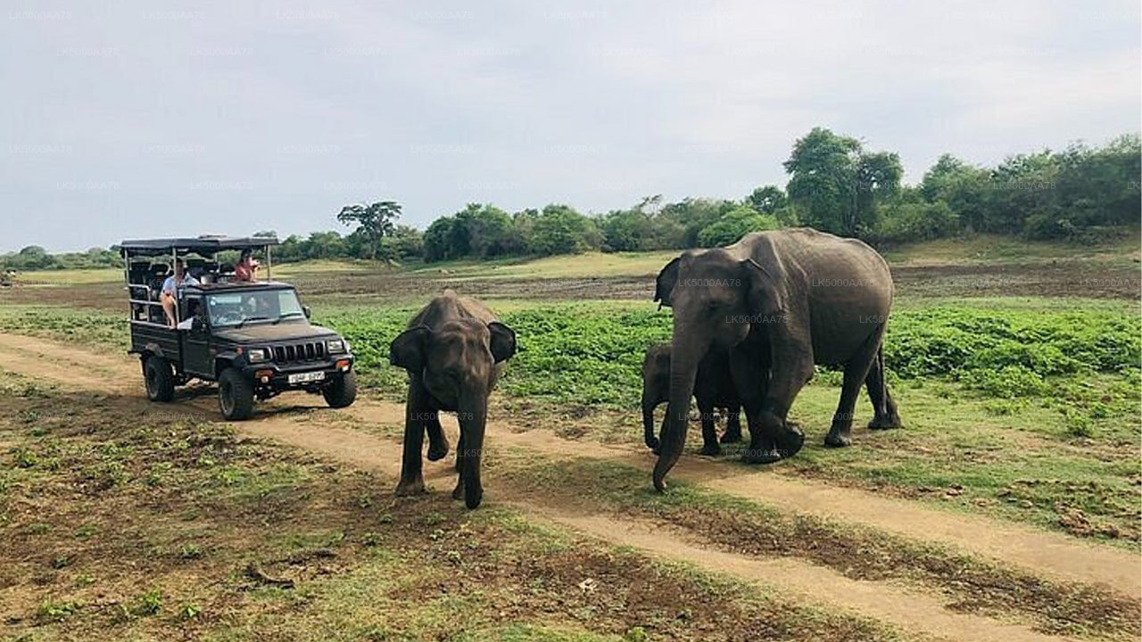 Wilpattu rahvuspargi privaatne safari