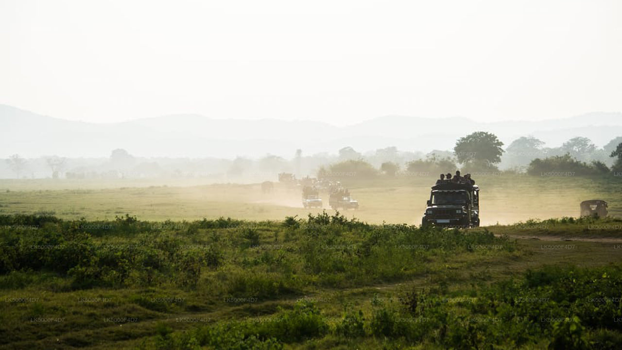 Privaatreis Ellast Hiriketiyasse Yala Safariga
