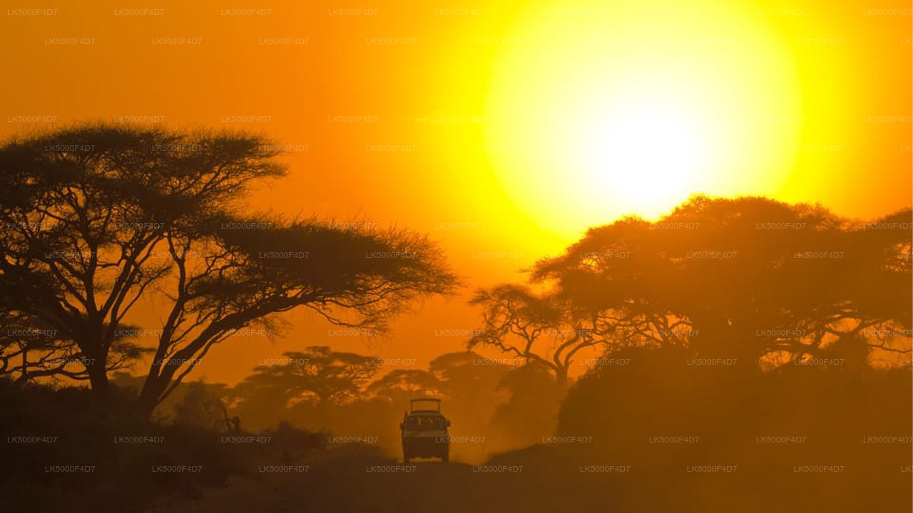 Privaatreis Ellast Hiriketiyasse Yala Safariga