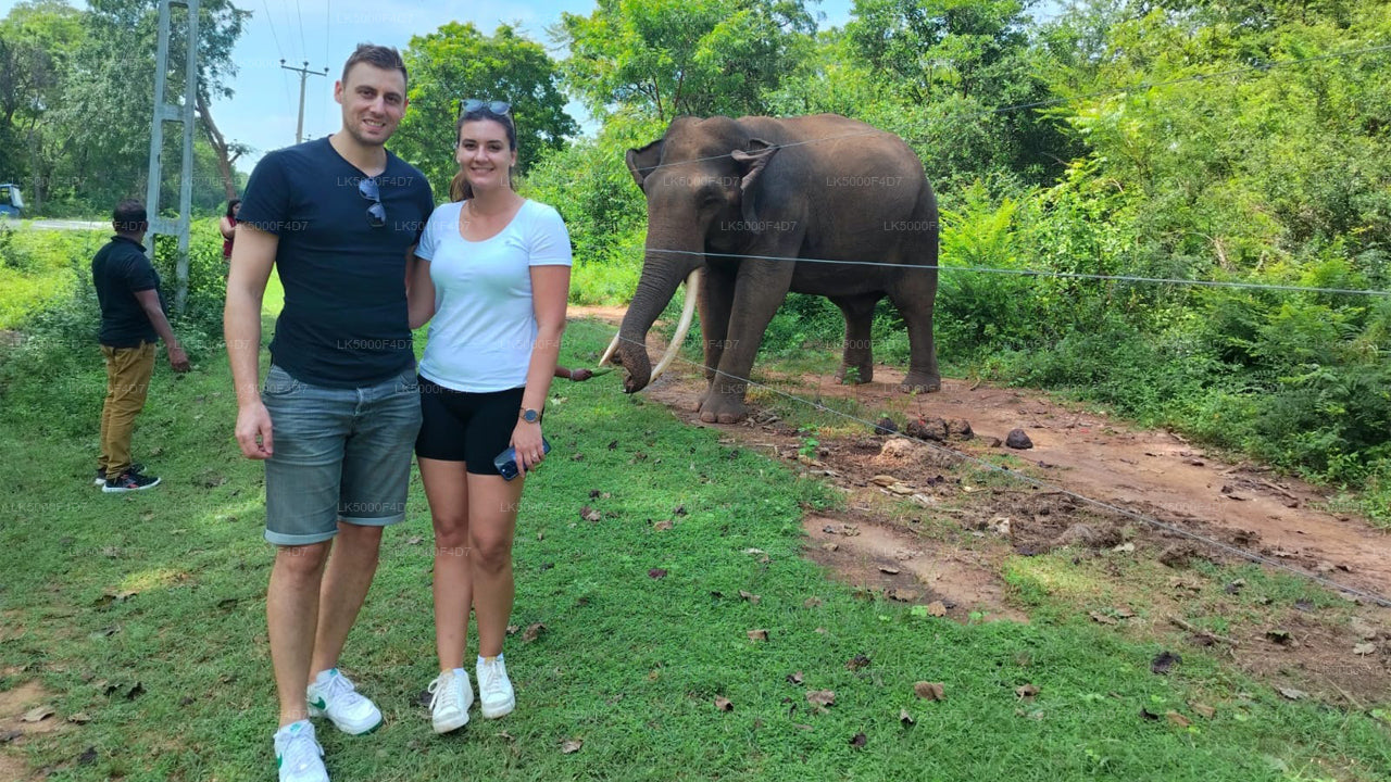 Privaatreis Ellast Hiriketiyasse Yala Safariga