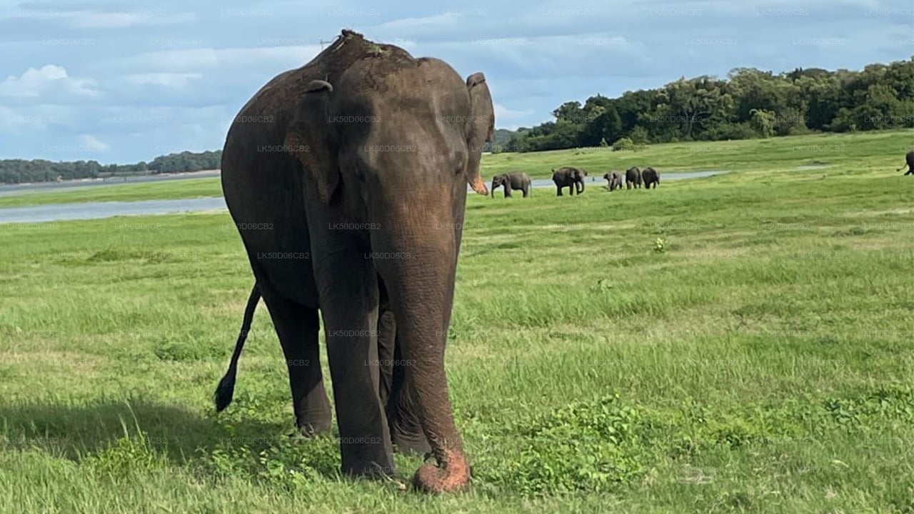 Kaudulla rahvuspargi privaatne safari