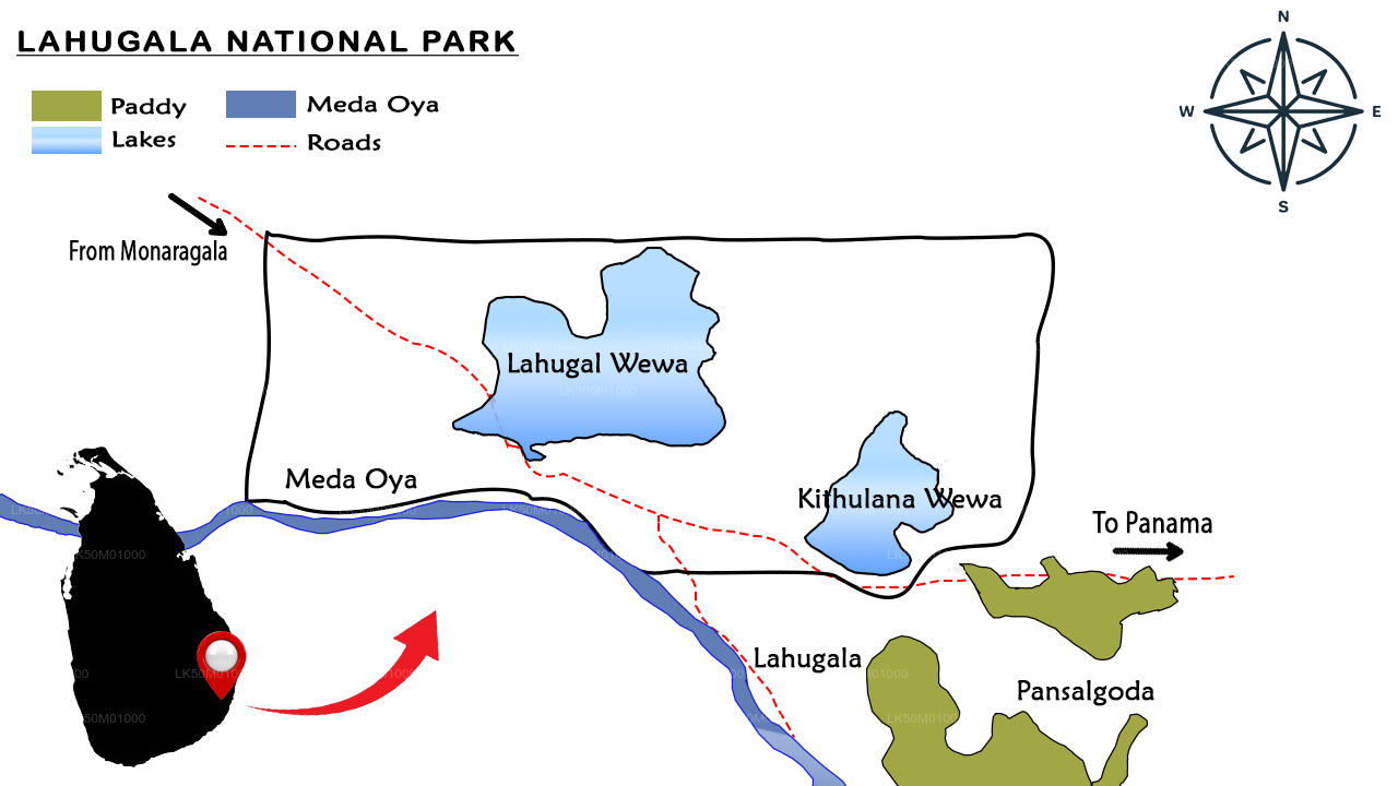 Lahugala Kitulana rahvuspargi erasafari