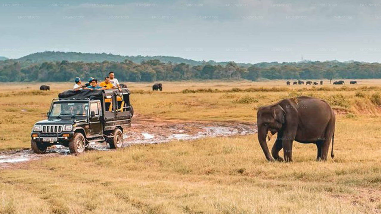 Maduru Oya rahvuspargi privaatne safari loodusteadlasega