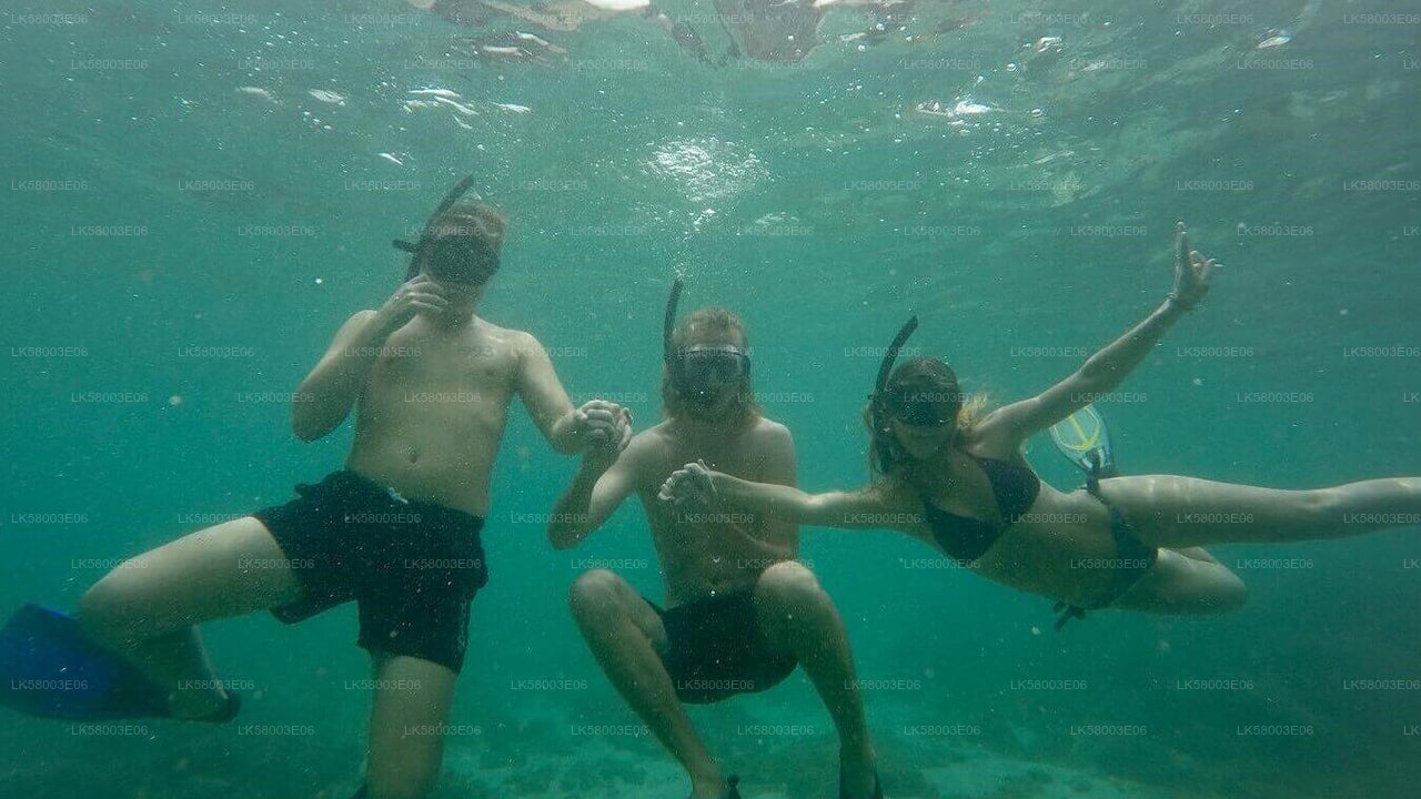 Snorgeldamine Ahangamast