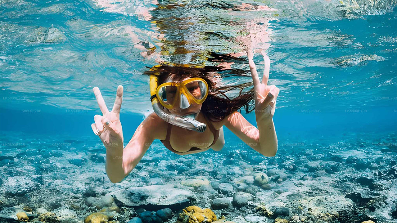 Snorgeldamine merikilpkonnadega Bentotast