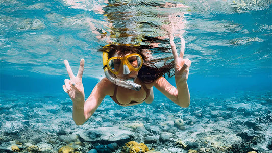 Snorgeldamine merikilpkonnadega Bentotast