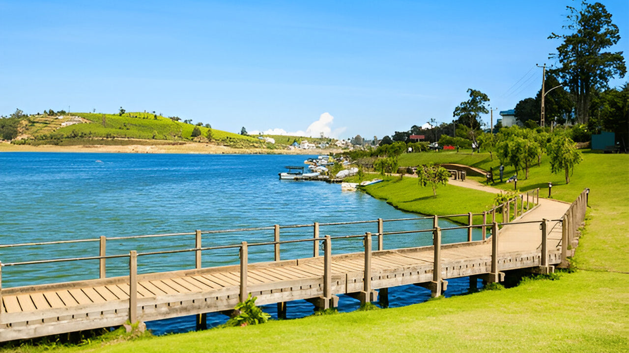 Wooden dock extending over a calm lake with green grass and trees in the background.