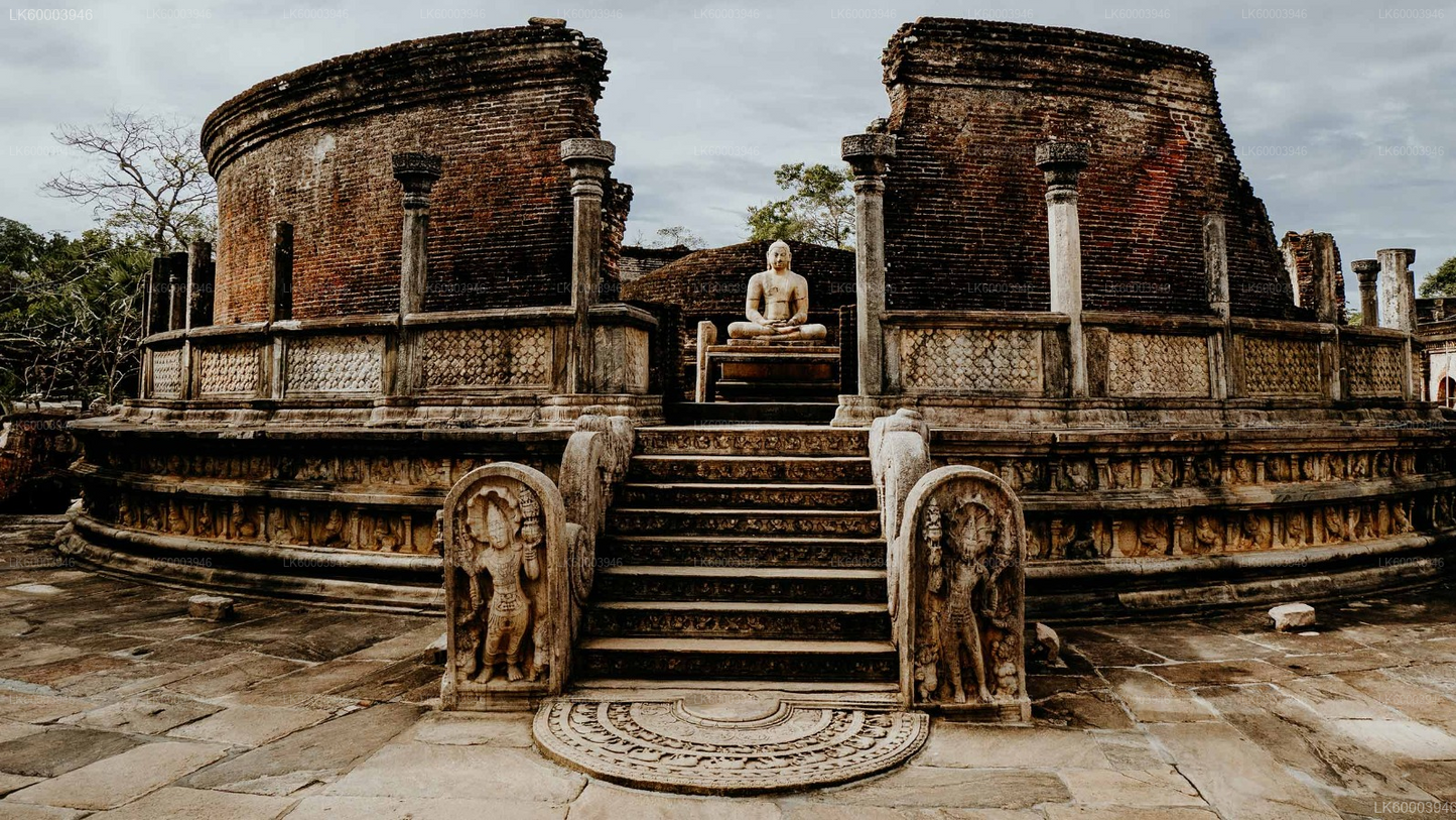 Private Transfer: Sigiriya to Kandy with Polonnaruwa Ancient City Tour