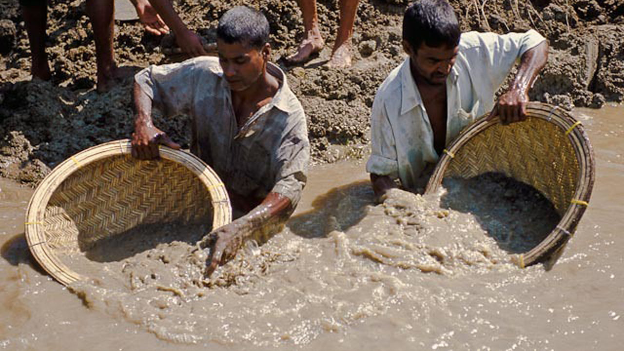 Agriculture, Gem Mine and Village Experience from Udawalawe