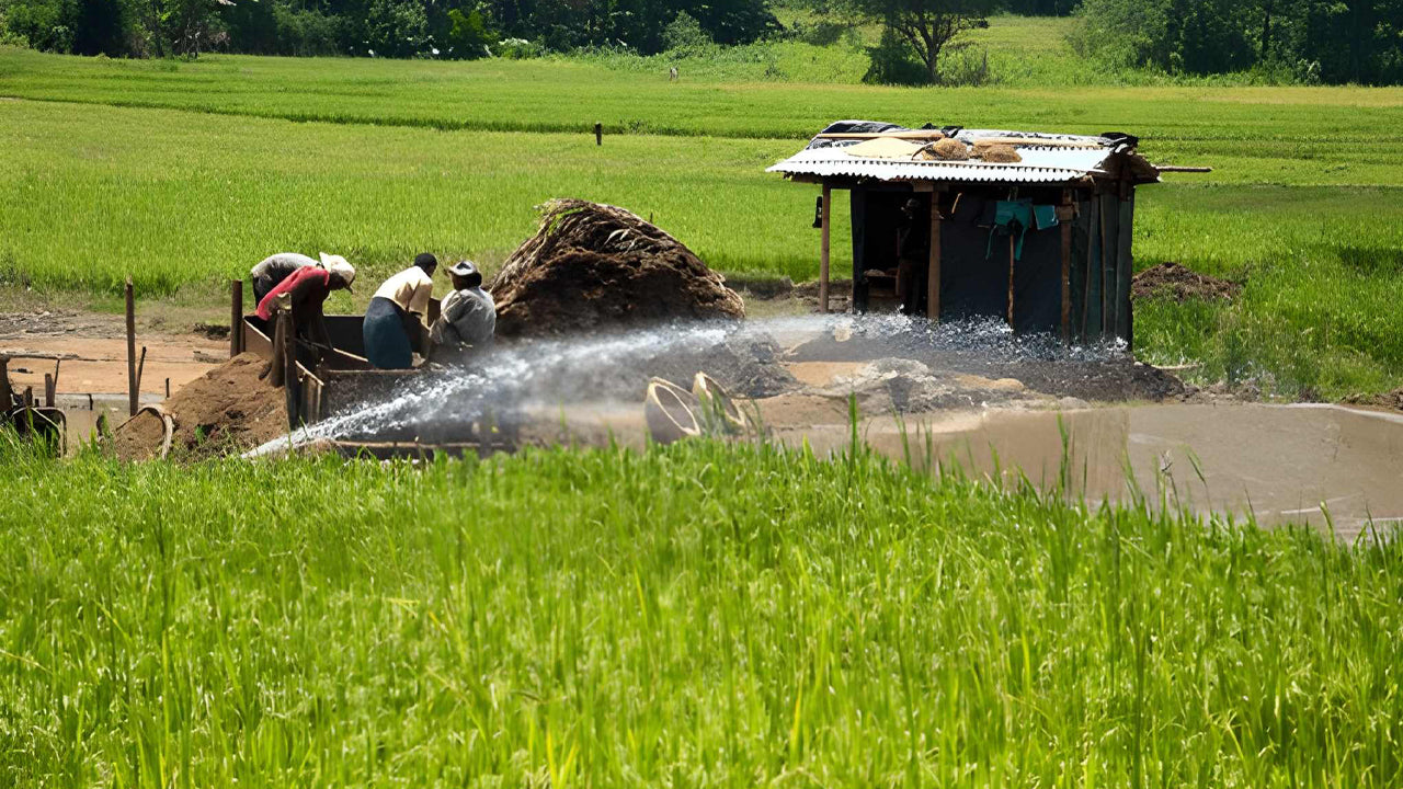 Agriculture, Gem Mine and Village Experience from Udawalawe