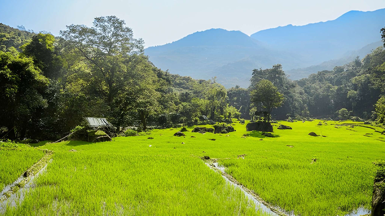 Agriculture, Gem Mine and Village Experience from Udawalawe