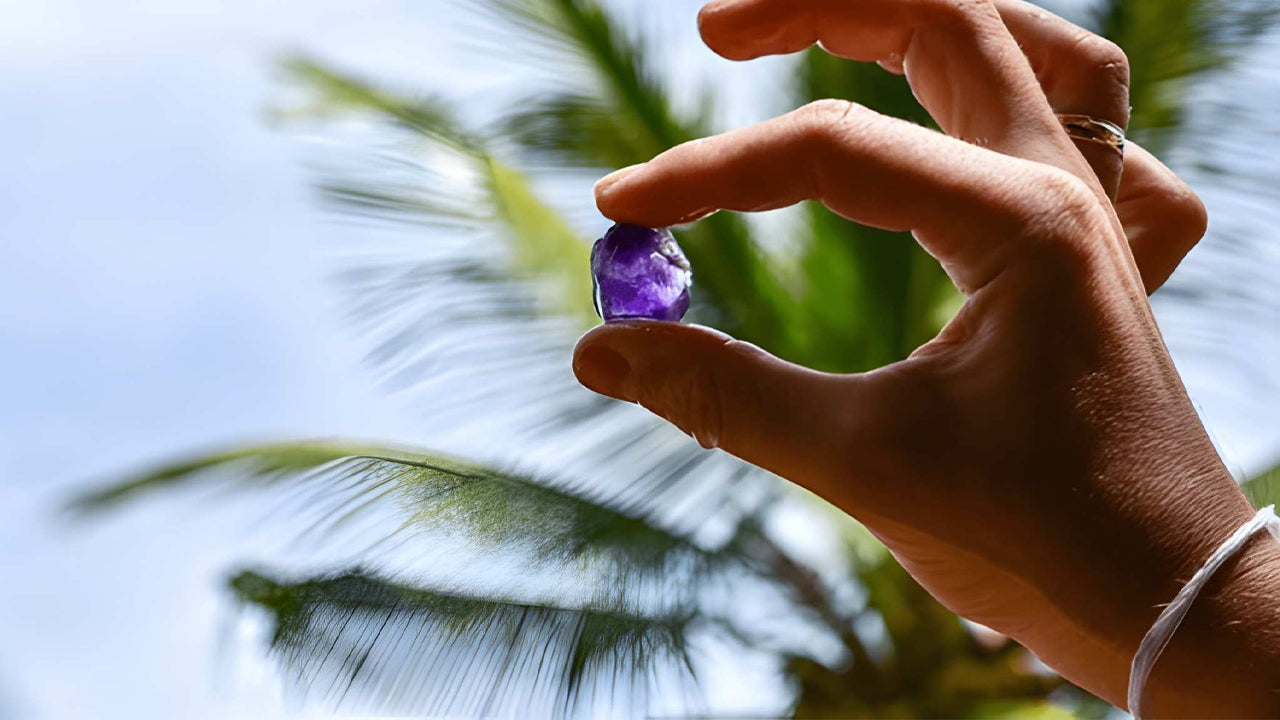 Agriculture, Gem Mine and Village Experience from Udawalawe
