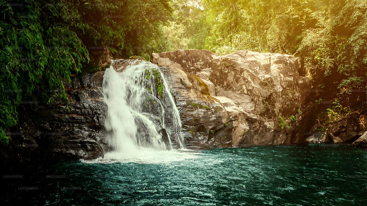 Sinharaja vihmametsa giidiga ekskursioon Kosgodast