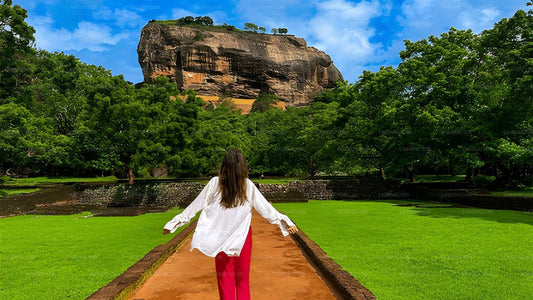 Sigiriya Rock, Village Experience and Wildlife Safari from Pasikuda