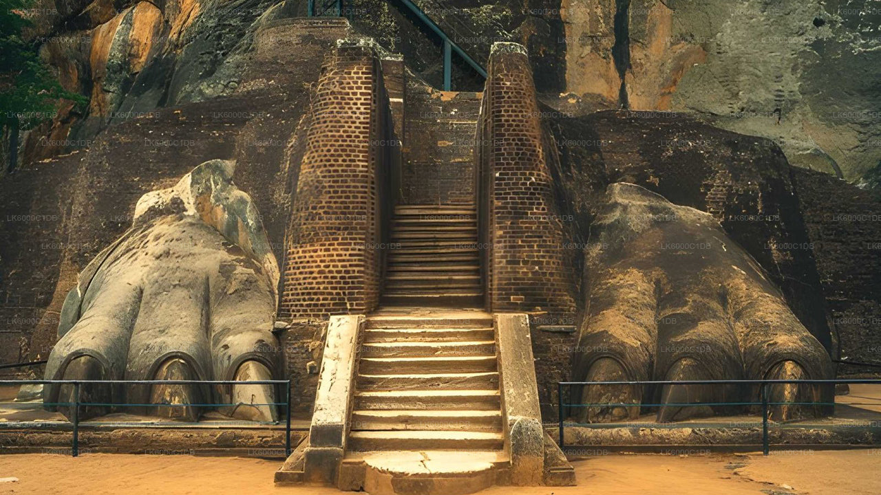 Sigiriya Rock, Village Experience ja Wildlife Safari Pasikudast