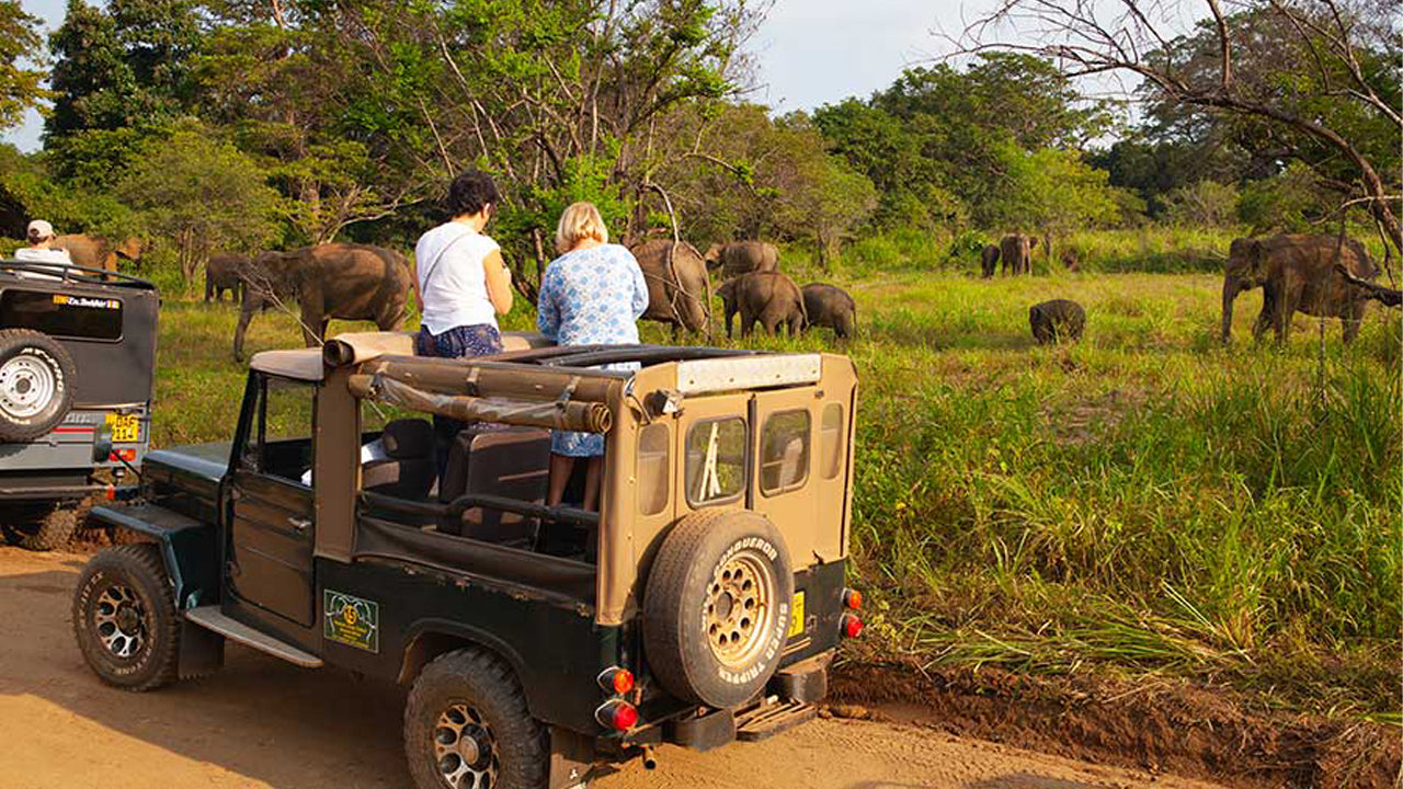 Polonnaruwa Heritage ja Hurulu ökopargi safari Pasikudast