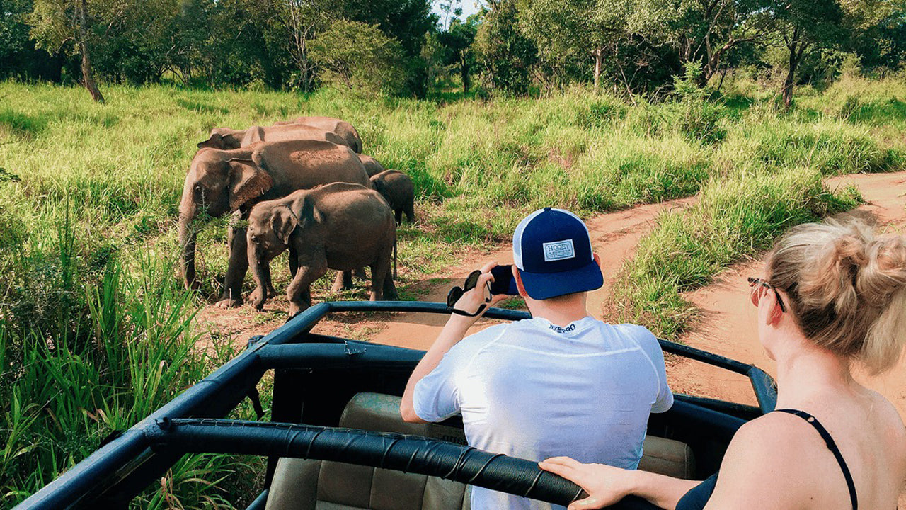 Polonnaruwa Heritage ja Hurulu ökopargi safari Pasikudast