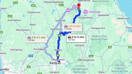 Polonnaruwa and Minneriya from Kandy