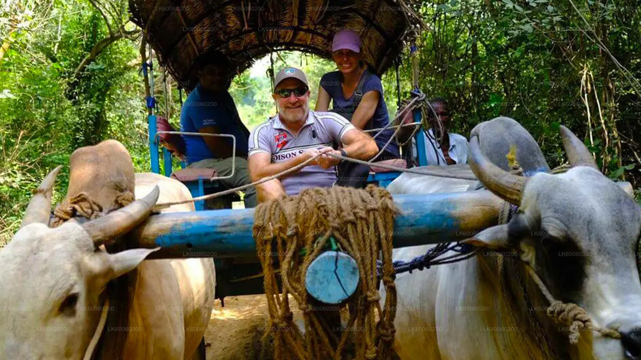 Two people riding in a cart pulled by oxen through a forest.