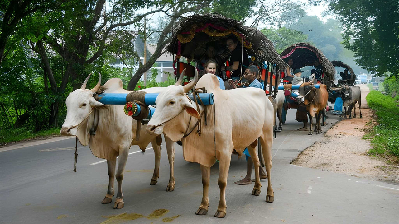 Sigiriya külaekskursioon Habaranast