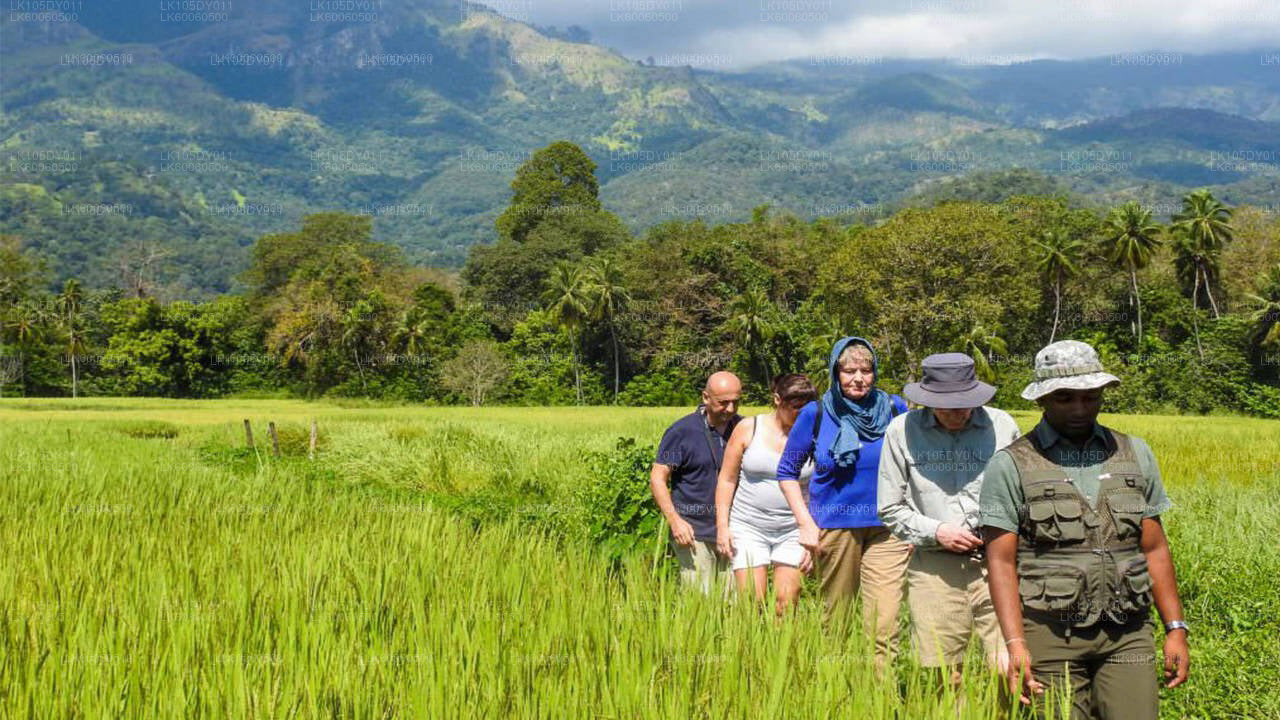 Hiriwadunna külareis Habaranast