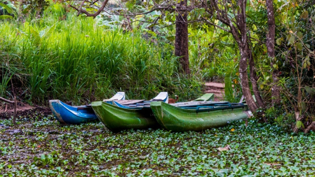 Hiriwadunna külareis Habaranast