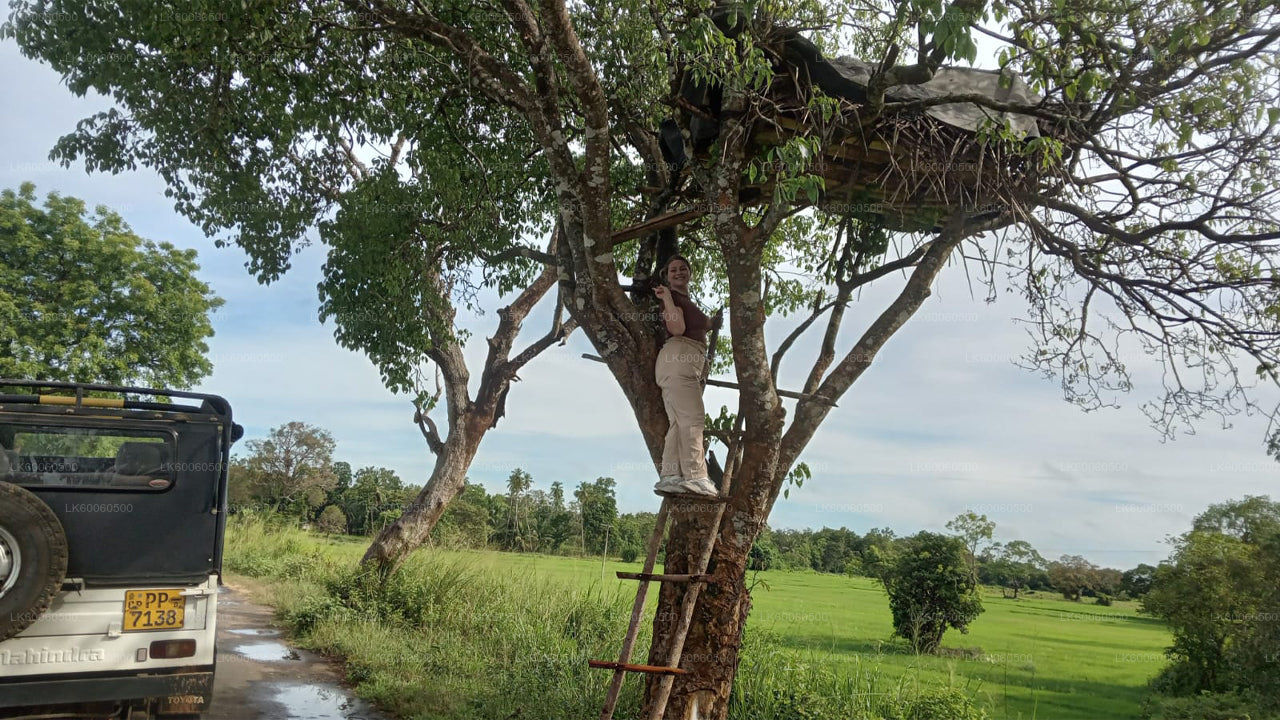 Hiriwadunna külareis Habaranast