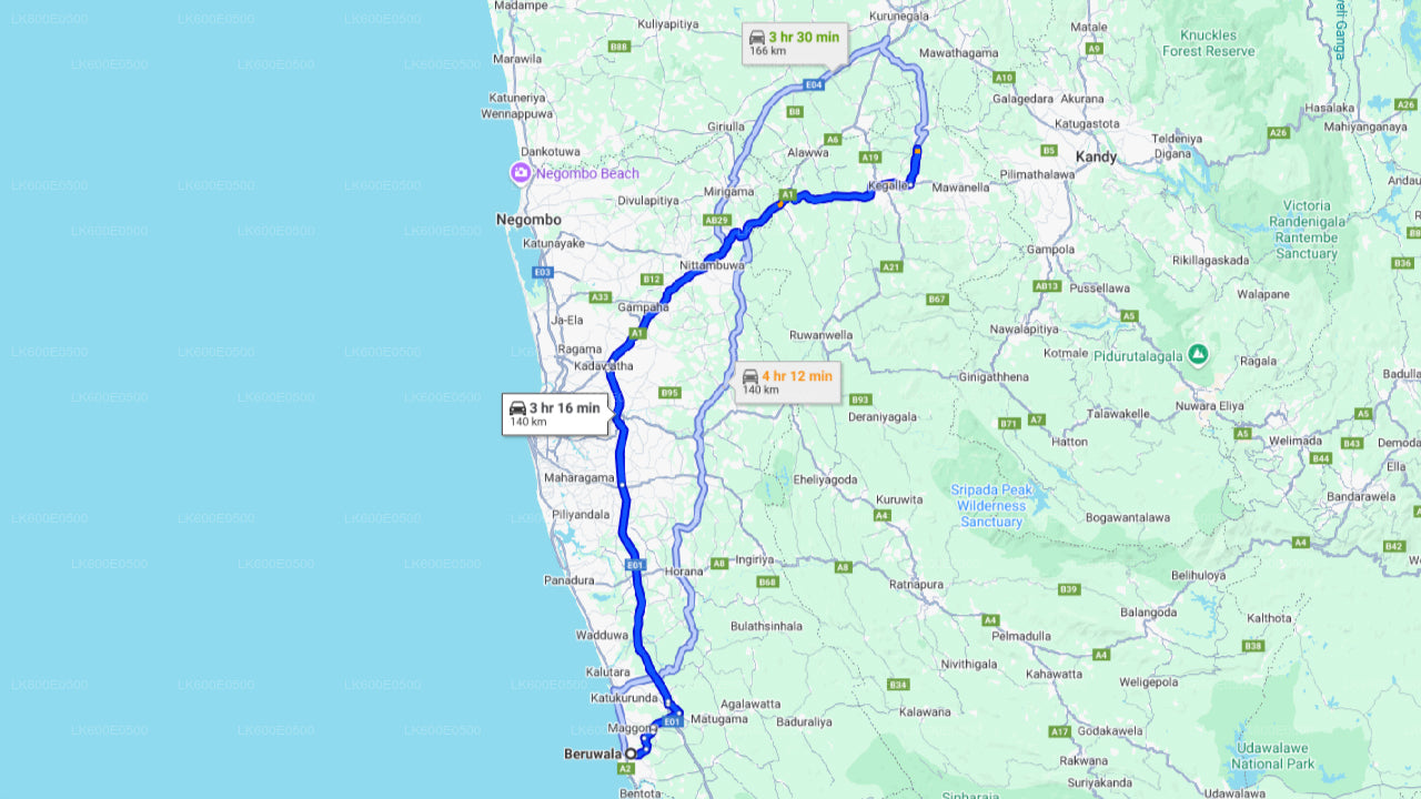 Pinnawala elevantide lastekodu Beruwalast