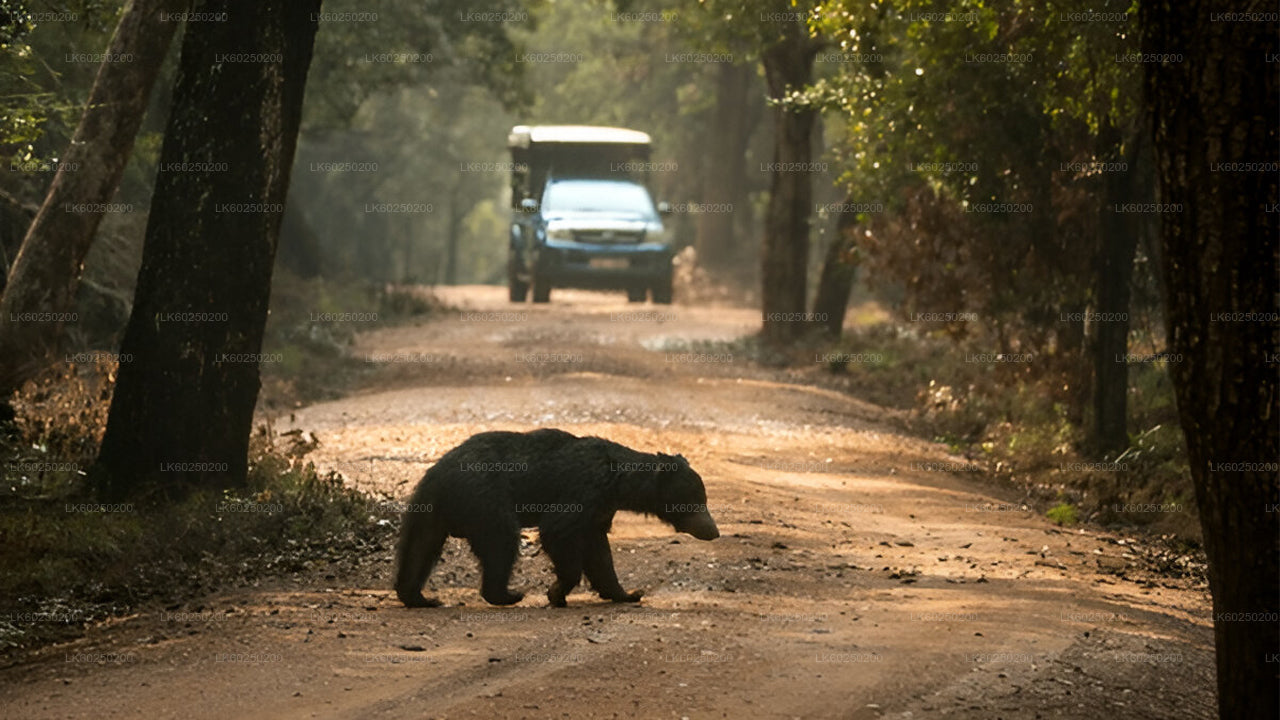 Yala rahvuspargi safari Unawatunast