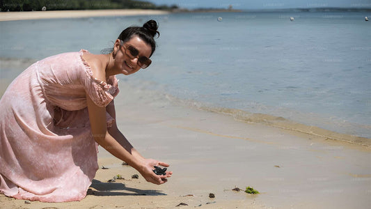 Baby Turtle Release from Kosgoda