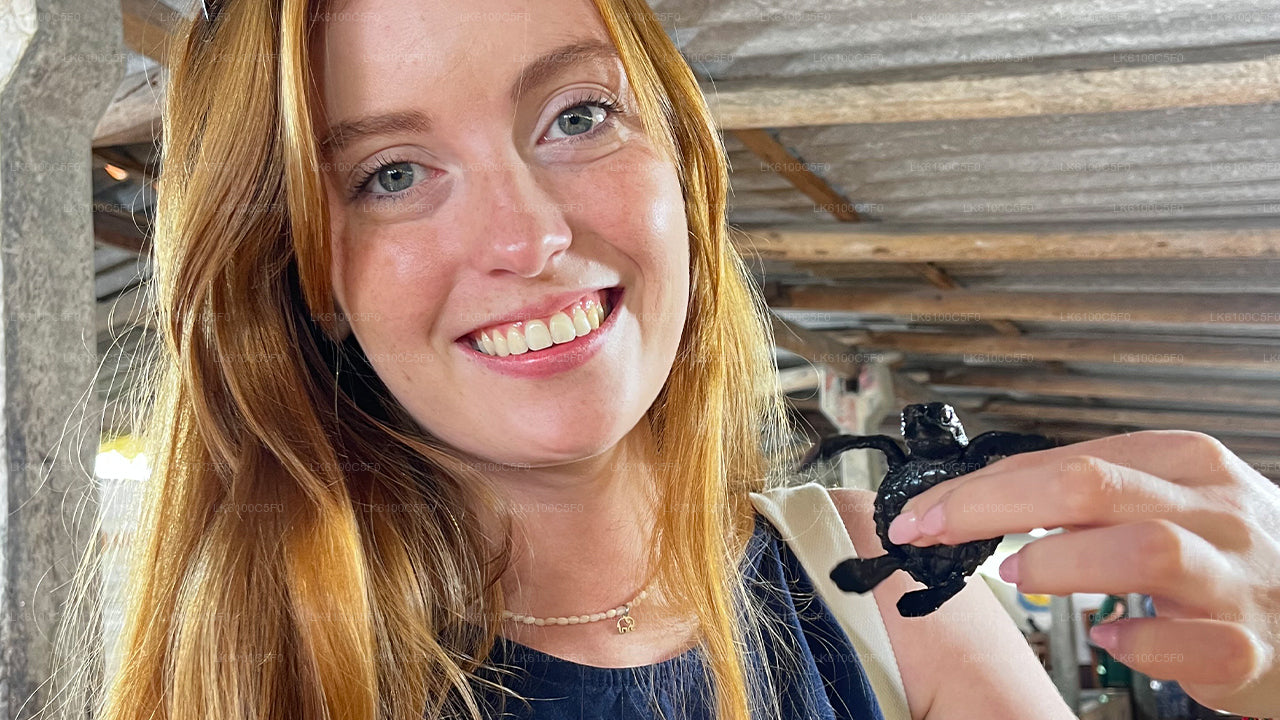 Avasta Galle'i peidetud pärleid ja einesta kohalikega