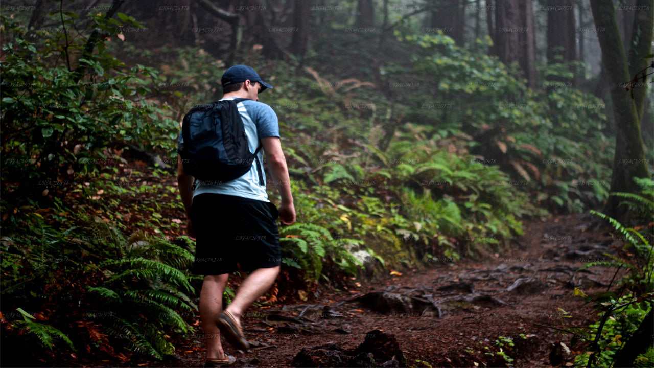 Sinharaja vihmametsa seiklusreis