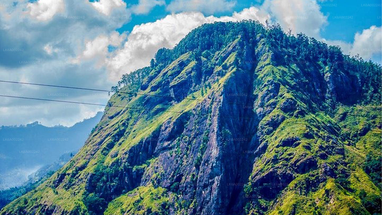 Little Adam's Peak Hike and Zip-lining from Ella