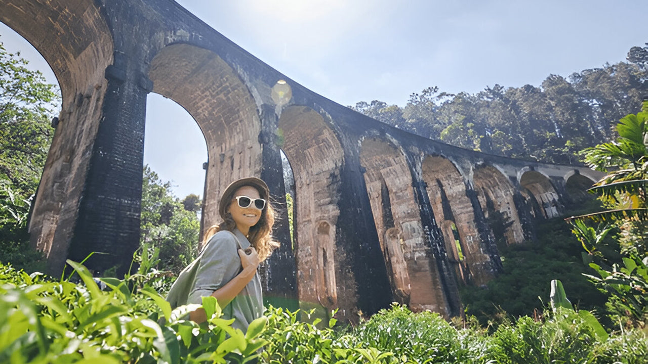 Calypso Tourist Train Ride