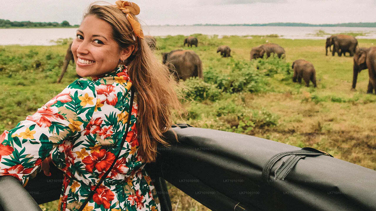 Smiling woman in floral dress on safari jeep with elephants grazing in the background at Minneriya National Park, Sri Lanka